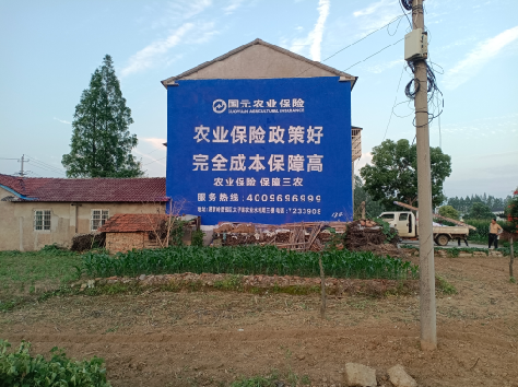 分宜墙体广告的优劣势你知道吗？