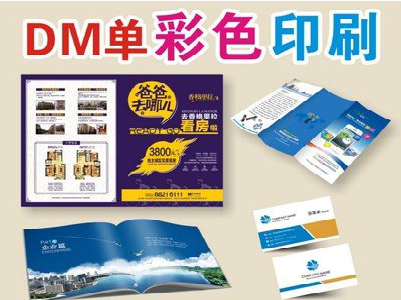 分宜单页印刷，色彩搭配简单。